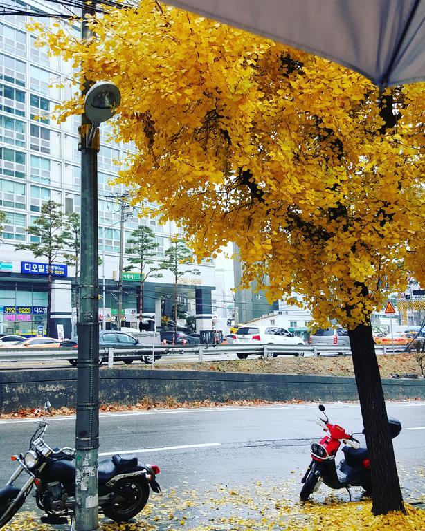 Feliz Guesthouse, Seoul Station Exterior photo